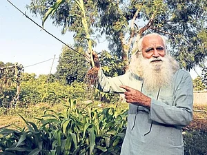 Jaivik Haat - Natural & Organic Food 11