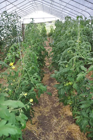 Agroecology at UWC 16