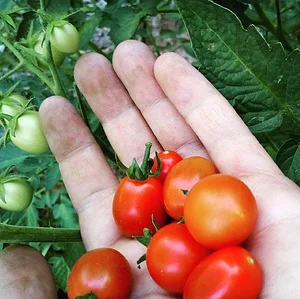 Agroecologia alla Mini Fattoria 3