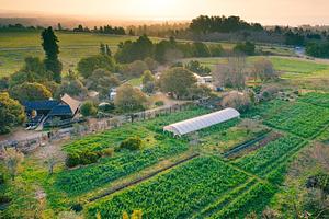 UC Santa Cruz Center for Agroecology