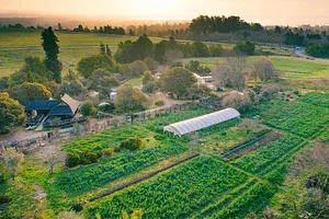 Photo UC Santa Cruz Center for Agroecology Farm