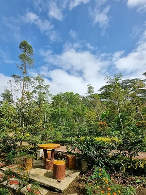 Photo Binahon Agroforestry Farm