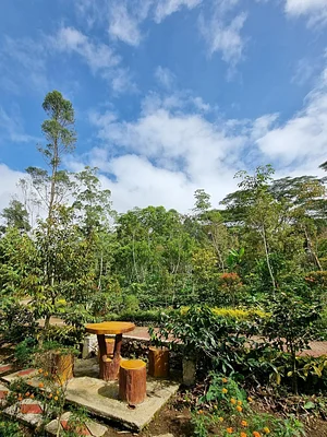 Binahon Agroforestry Farm