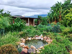 Numbi Valley De Rust Permaculture Farm