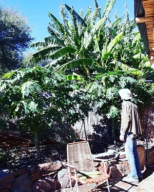 Permaculture Farm in Numbi Valley