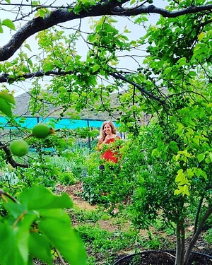 Permaculture Farm in Numbi Valley