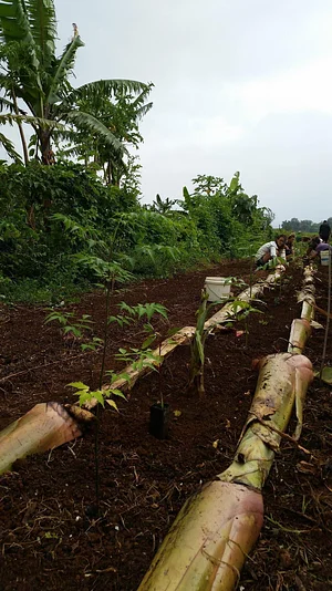 Growing Roots Permaculture Experiences 13