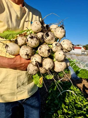Learning and exploring Agroecology through doing
