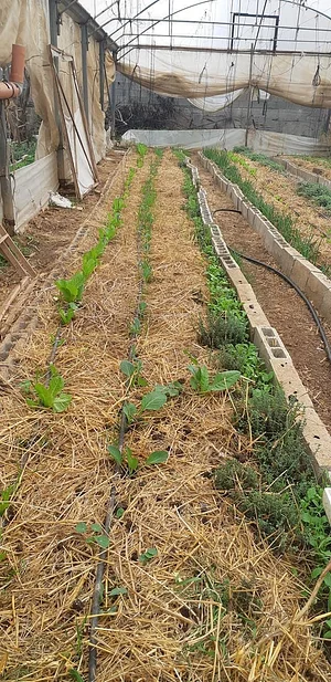 Marda Permaculture Farm