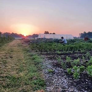 Agroecology Garden in Bennekom