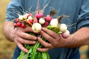 Permaculture du Bec Hellouin