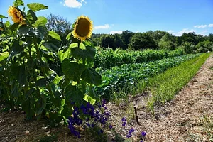 Permaculture du Bec Hellouin