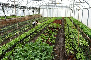 Permaculture du Bec Hellouin