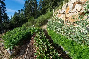 Permaculture du Bec Hellouin