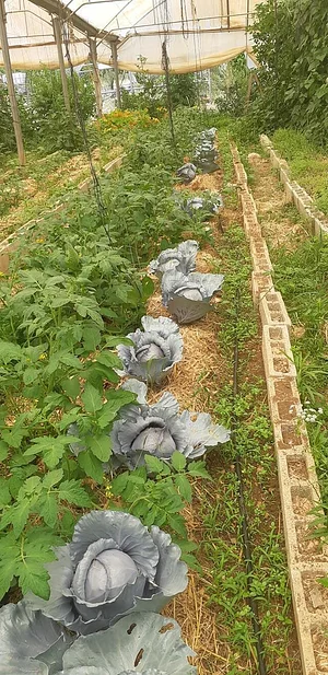 Marda Permaculture Farm
