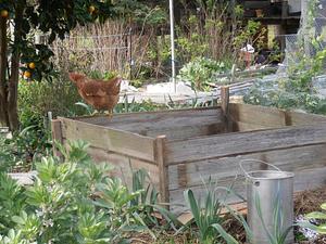Gardenfarm Permaculture