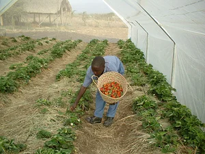 MOOF Africa Permaculture Kenya