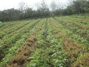 MOOF Africa Permaculture Kenya
