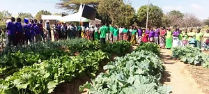 Sustainable Agriculture Tanzania Experiences