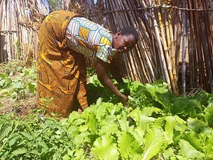 Photo Sustainable Agriculture Tanzania Experiences