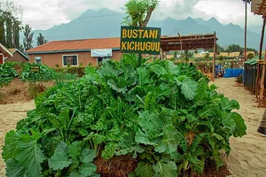 Sustainable Agriculture Tanzania Experiences
