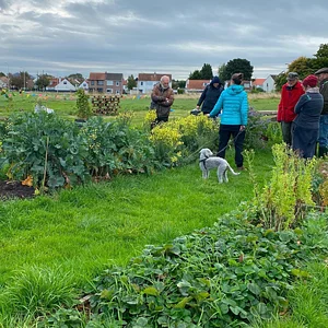 Lauriston Farm Urban Farm