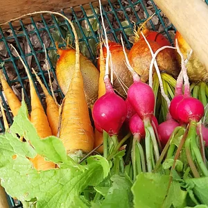 Arcadia Permaculture Farm
