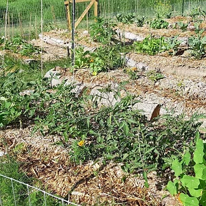 Arcadia Permaculture Farm