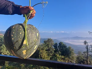 HASERA Permaculture Farm