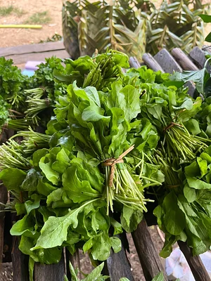 Msonge Organic Family Farm
