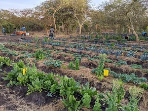 Taaru Askan Farm