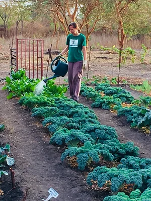Taaru Askan Farm