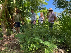 High Valley Dawn Permaculture Farm Yeppoon