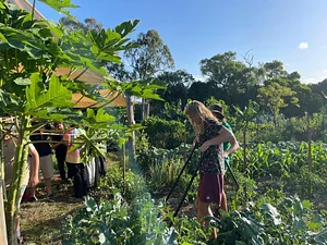Photo High Valley Dawn Permaculture Farm Yeppoon