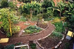 Photo High Valley Dawn Permaculture Farm Yeppoon