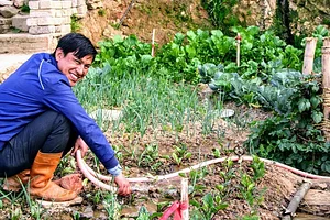 HASERA Permaculture Farm