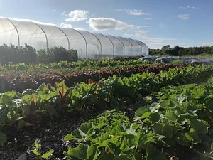 Ecological Land Cooperative Farmers