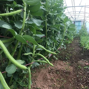 Ecological Land Cooperative Farmers
