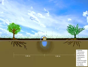 Esquema ilustrativo do funcionamento do sistema de irrigação