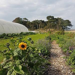 East Neuk Market Garden