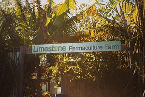 Limestone Permaculture