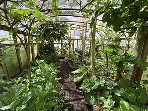 Limestone Permaculture Farm