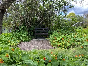 Limestone Permaculture Farm
