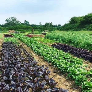 Ecological Land Cooperative Farmers