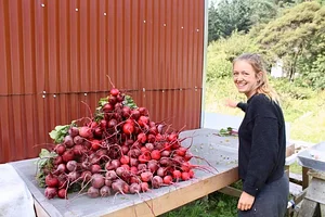 Waewae Permaculture