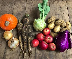 East Neuk Market Garden