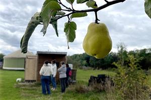 Pomme Poire Pêche Micro-ferme en permaculture
