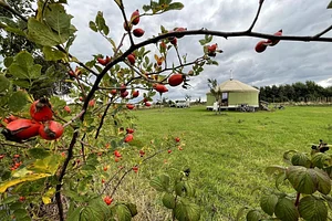 Micro-ferme en permaculture