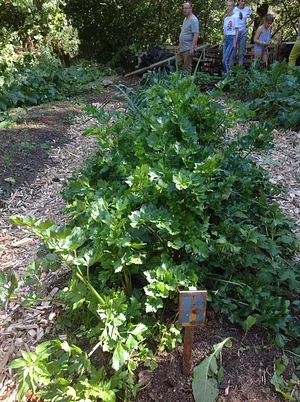 Micro-ferme en permaculture