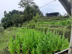 Photo Himgiri Permaculture Farm